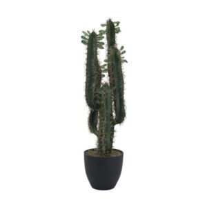 EUROPALMS Mexikanischer Kaktus mit Blättern, 75cm