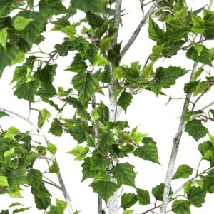 EUROPALMS Birkenbaum, Kunstpflanze, 210cm