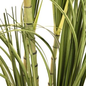 EUROPALMS Dracenabusch, künstlich, 215cm