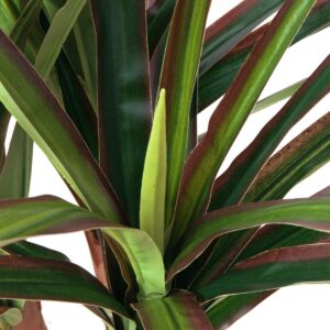 EUROPALMS Dracena, künstlich, 120cm