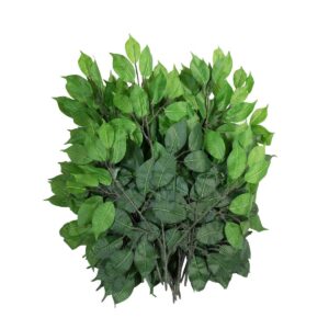 EUROPALMS Ficuszweig Benjamina, künstlich, 12x