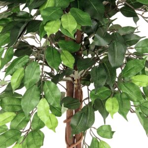 EUROPALMS Ficus-Benjamini Multi-Stamm, Kunstpflanze, 150cm