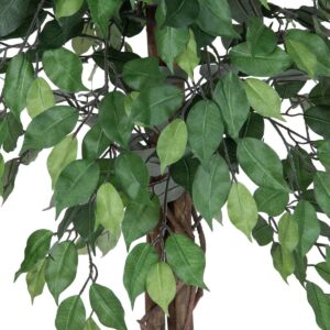 EUROPALMS Ficus-Benjamini Multi-Stamm, Kunstpflanze, 180cm