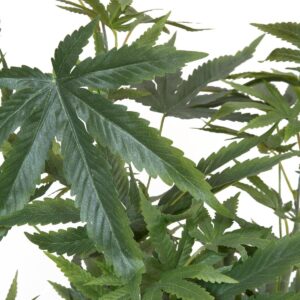 EUROPALMS Hanfpflanze, Kunstpflanze, 120cm