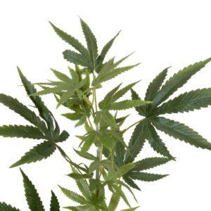 EUROPALMS Hanfzweig, künstlich, 90cm