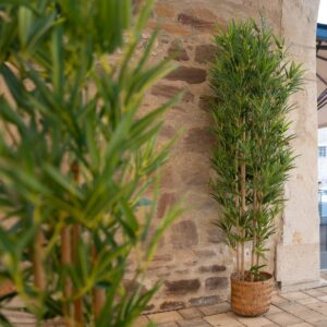 EUROPALMS Bambus deluxe, Kunstpflanze, 120cm