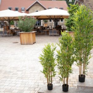 EUROPALMS Bambus deluxe, Kunstpflanze, 180cm