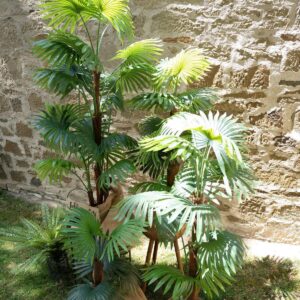 EUROPALMS Fächerpalme, Kunstpflanze, 130cm