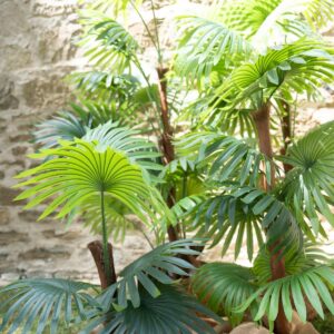 EUROPALMS Fächerpalme, Kunstpflanze, 155cm