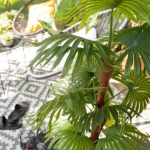 EUROPALMS Fächerpalme, Kunstpflanze, 165cm