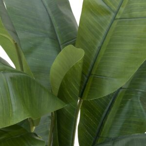 EUROPALMS Bananenbaum, Kunstpflanze, 120cm