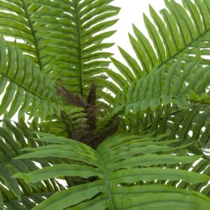 EUROPALMS Cycas Palme, Kunstpflanze, 70cm