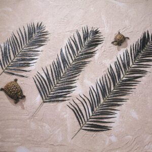 EUROPALMS Kokos-Palmwedel, künstlich, 90cm 12x