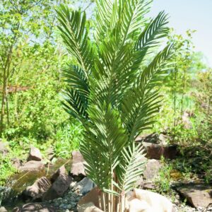 EUROPALMS Kentia Palme, Kunstpflanze, 140cm