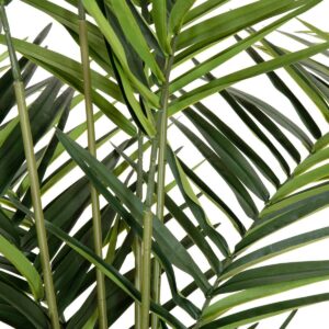 EUROPALMS Kentia Palme, Kunstpflanze, 240cm