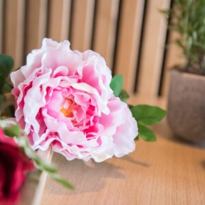 EUROPALMS Pfingstrosenzweig Classic, Kunstpflanze, pink, 80cm