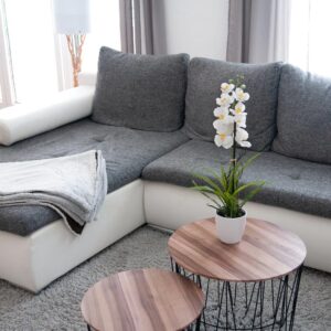 EUROPALMS Orchideen-Arrangement 1, künstlich