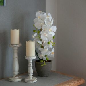 EUROPALMS Orchidee, Kunstpflanze, weiß, 80cm