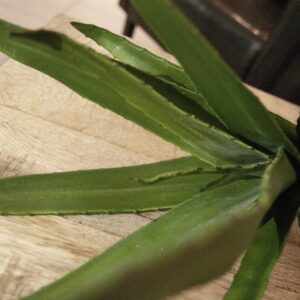 EUROPALMS Aloe (EVA), künstlich, grün, 50cm