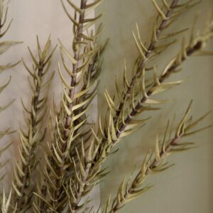 EUROPALMS Rosmarinzweig (EVA), künstlich, grün