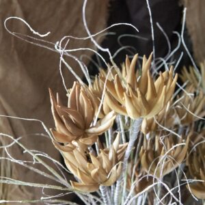 EUROPALMS Artischocken Zweig (EVA), künstlich, beige, 100cm