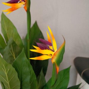 EUROPALMS Strelitzie, Kunstpflanze, 90cm