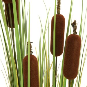 EUROPALMS Rohrkolben, Kunstpflanze, 150cm