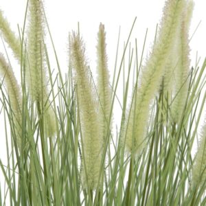 EUROPALMS Ziergras, blühend, künstlich, 70cm