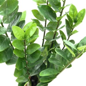 EUROPALMS Zamifolia, Kunstpflanze, 70cm