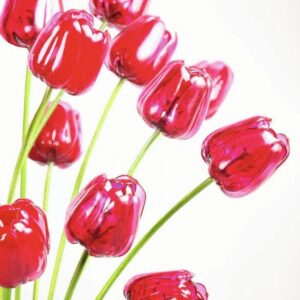 EUROPALMS Kristalltulpe, Kunstblume, rot, 61cm 12x