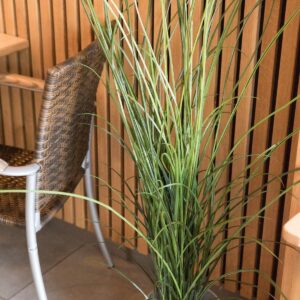 EUROPALMS Schilfgras, künstlich, 145cm