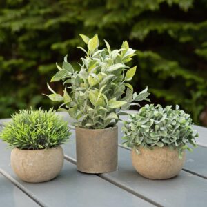 EUROPALMS Tischpflanzen im Dekotopf, Kunstpflanzen, 3er-Set