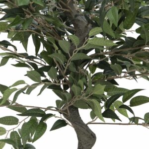 EUROPALMS Ficus Waldbaum, Kunstpflanze, 110cm