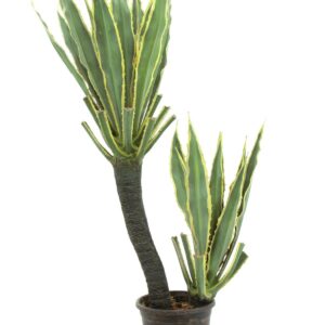EUROPALMS Orchideen-Kaktus, Kunstpflanze, 160cm