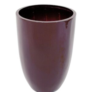 EUROPALMS LEICHTSIN CUP-49, braun, glänzend