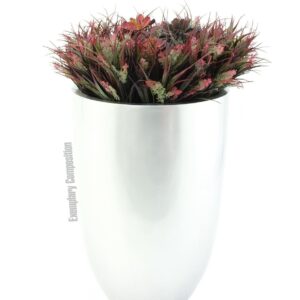 EUROPALMS LEICHTSIN CUP-69, silber, glänzend