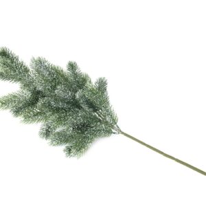 EUROPALMS Tannenzweig, beschneit, PE, 65cm