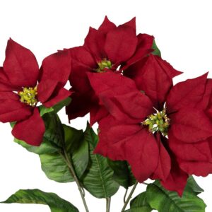 EUROPALMS Weihnachtsstern-Busch, rot, 50cm