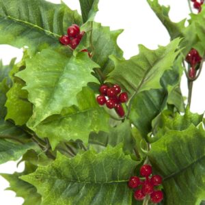 EUROPALMS Stechlaub 43cm