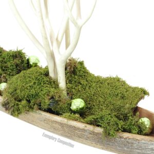 EUROPALMS Dekokugel 3,5cm,hellgrün,glänzend 48x