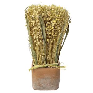 Trockenblumen Gras-Mix im Terracotta Topf