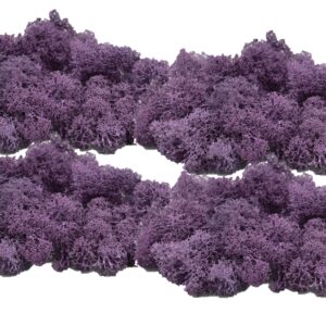 Muwse Islandmoos Flieder 100 g händisch gerupft Osternest Weihnachtskrippe