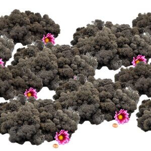 Muwse Islandmoos Dunkelgrau 1000 g Basteln Wandbilder Dekoration Gestalten